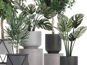 collection of decorative plants in flowerpots 759 3Dモデル