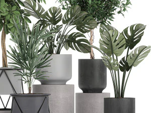 collection of decorative plants in flowerpots 759 3D Model
