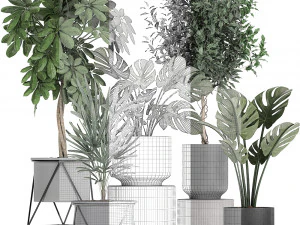 collection of decorative plants in flowerpots 759 3D Model