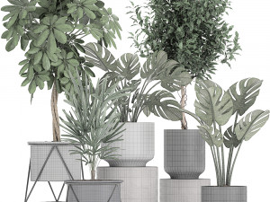 collection of decorative plants in flowerpots 759 3Dモデル