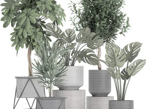collection of decorative plants in flowerpots 759 3D Model