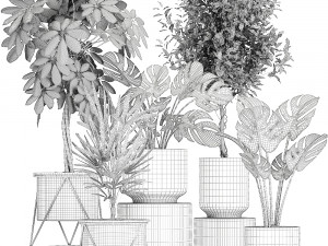 collection of decorative plants in flowerpots 759 3Dモデル