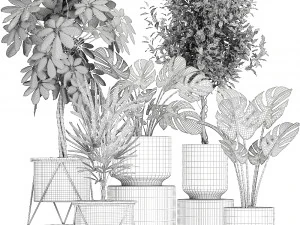 collection of decorative plants in flowerpots 759 3D Model