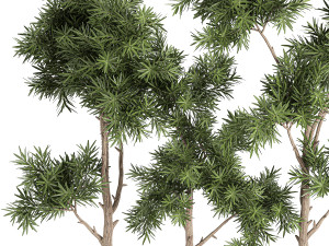 decorative trees in a white flowerpots 760 Modèle 3D