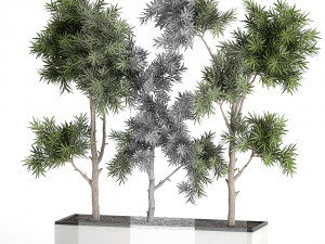 decorative trees in a white flowerpots 760 Modèle 3D