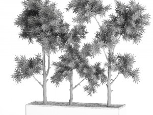 decorative trees in a white flowerpots 760 Modèle 3D