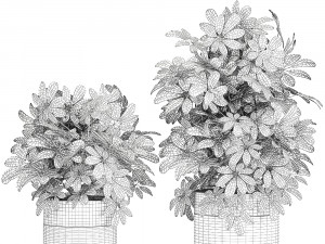 decorative schefflera in flowerpots 766 3D Model