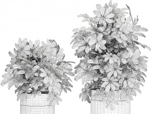 decorative schefflera in flowerpots 766 3D Model