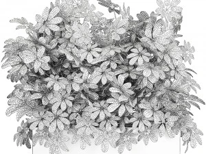 decorative schefflera in flowerpots 767 3D Model