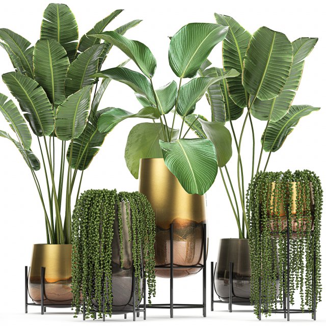 houseplants in a gold pot for the interior 768 3Dモデル .c4d .max .obj .3ds .fbx .stl .blend