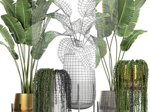 houseplants in a gold pot for the interior 768 3Dモデル