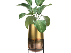 houseplants in a gold pot for the interior 768 3Dモデル
