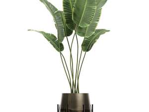 houseplants in a gold pot for the interior 768 3Dモデル