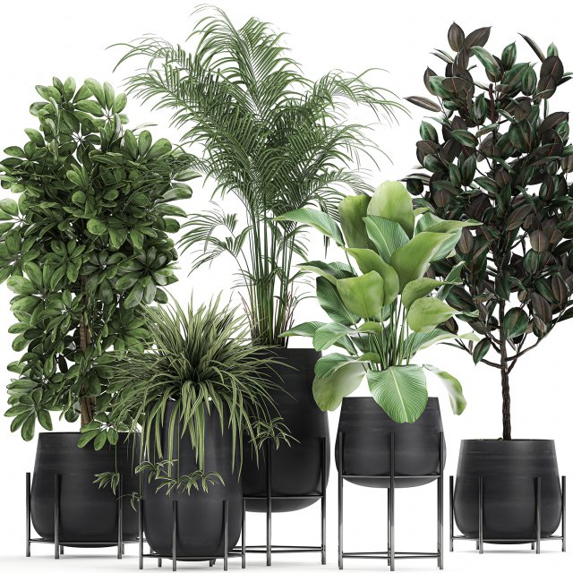 collection of decorative plants in flowerpots 769 3D 모델 .c4d .max .obj .3ds .fbx .stl .blend 