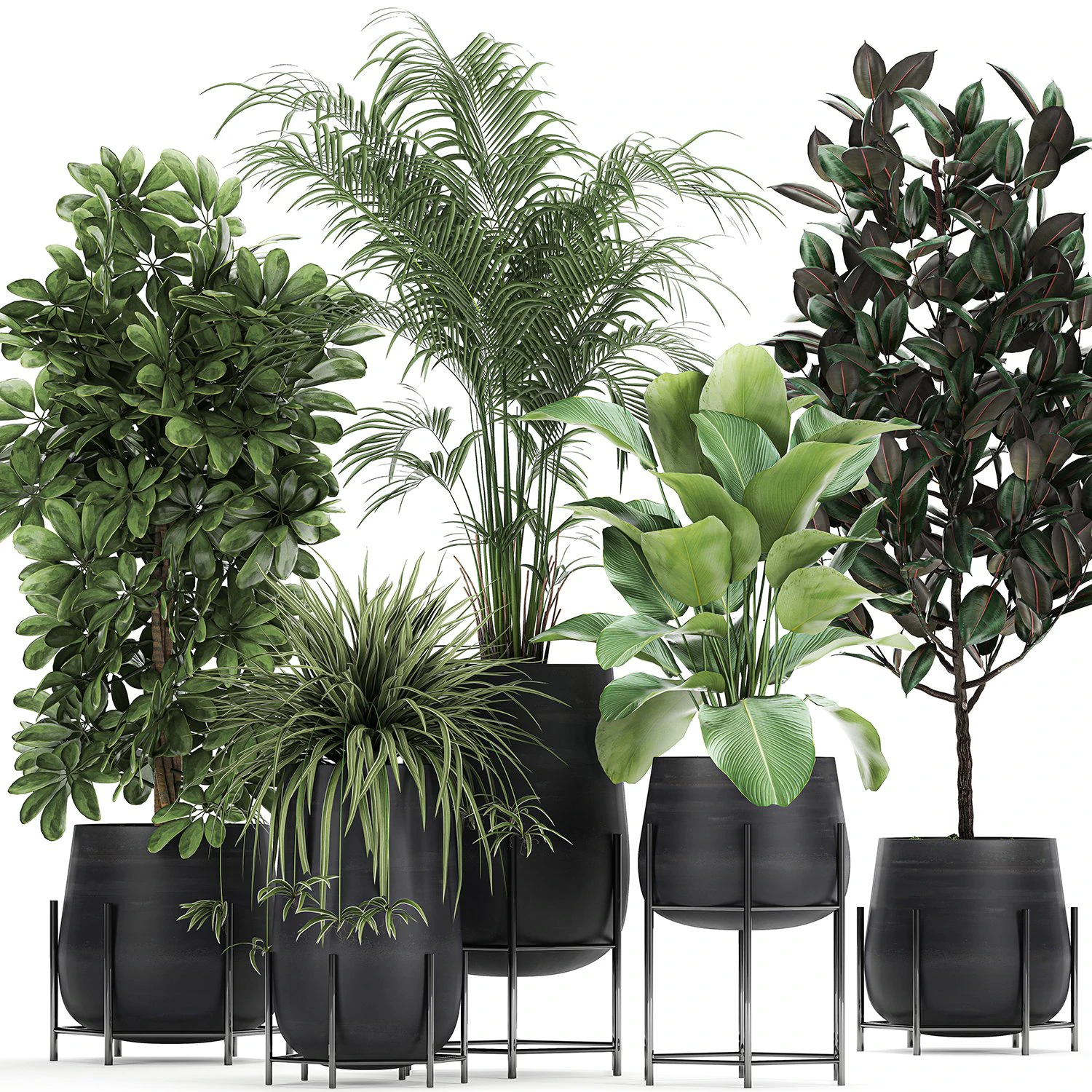 collection of decorative plants in flowerpots 769 3D Model .c4d .max .obj .3ds .fbx .stl .blend 