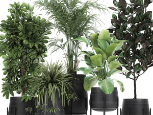 saksılarda dekoratif bitkilerin toplanması 769 3D Model