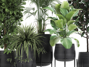 collection of decorative plants in flowerpots 769 3D 모델