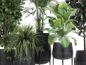 collection of decorative plants in flowerpots 769 3D Model