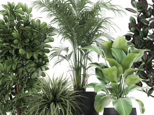 collection of decorative plants in flowerpots 769 3D 모델