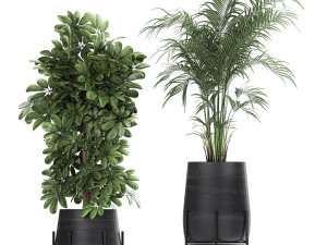 collection of decorative plants in flowerpots 769 3D 모델