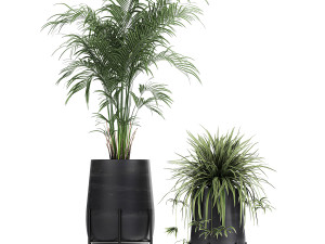 collection of decorative plants in flowerpots 769 3D 모델