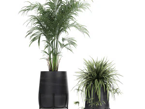 collection of decorative plants in flowerpots 769 3D Model