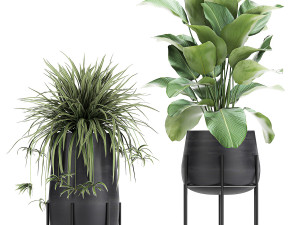collection of decorative plants in flowerpots 769 3D 모델