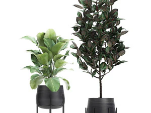 collection of decorative plants in flowerpots 769 3D Model