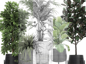 collection of decorative plants in flowerpots 769 3D 모델