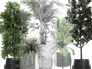 collection of decorative plants in flowerpots 769 3D Model