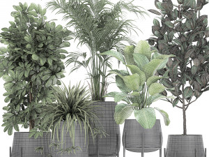 collection of decorative plants in flowerpots 769 3D 모델