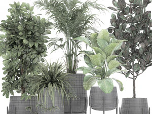 collection of decorative plants in flowerpots 769 3D Model