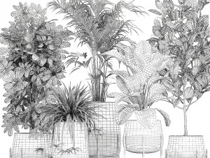 collection of decorative plants in flowerpots 769 3D 모델