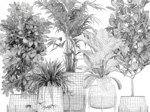 collection of decorative plants in flowerpots 769 3D Model
