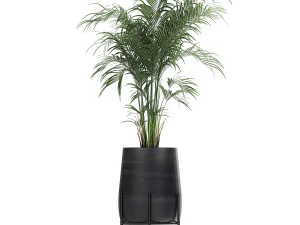 collection of decorative plants in flowerpots 769 3D Model