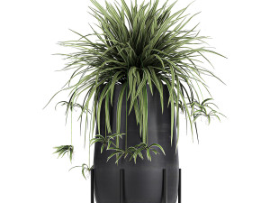 collection of decorative plants in flowerpots 769 3D 모델