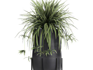 collection of decorative plants in flowerpots 769 3D Model