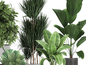 collection of decorative plants in flowerpots 772 Modèle 3D