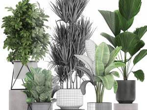 collection of decorative plants in flowerpots 772 Modèle 3D