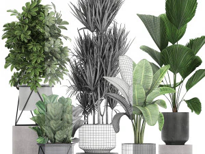 collection of decorative plants in flowerpots 772 3D Model