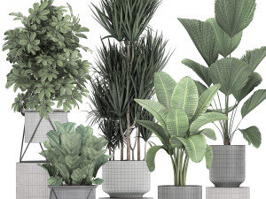 collection of decorative plants in flowerpots 772 Modèle 3D