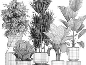 collection of decorative plants in flowerpots 772 Modèle 3D
