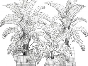 banana palm in a pot for the interior 773 3D-Modell