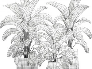 banana palm in a pot for the interior 773 3D Model