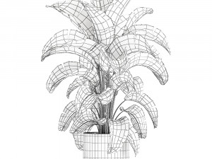 banana palm in a pot for the interior 774 3D-Modell