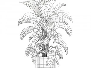 banana palm in a pot for the interior 774 3D Model