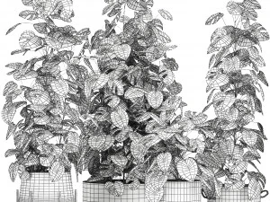 monstera in a pot for the interior 775 3D Model