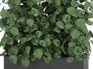 monstera in a pot for the interior 776 3Dモデル
