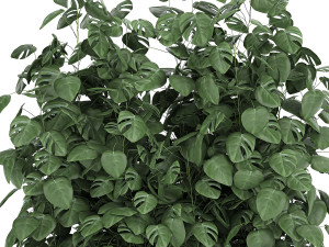 monstera in a pot for the interior 776 3Dモデル