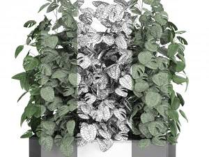 monstera in a pot for the interior 776 3D Model